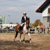 bABIE lATO 2018